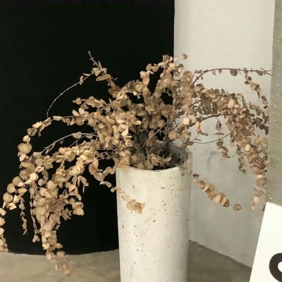 Furry插画氛围技巧福瑞交流群